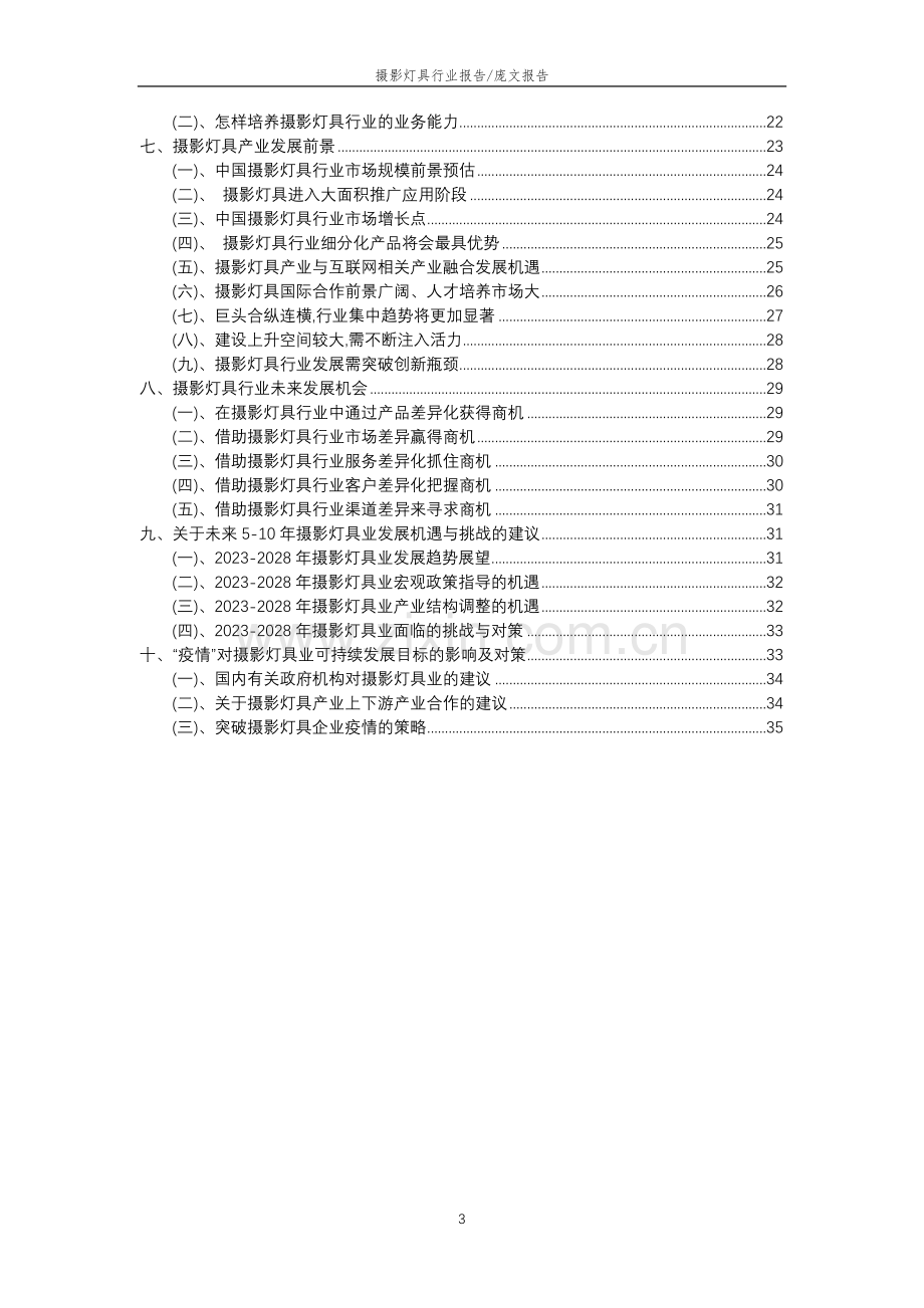 2023年摄影灯具行业分析报告及未来五至十年行业发展报告.doc_第3页