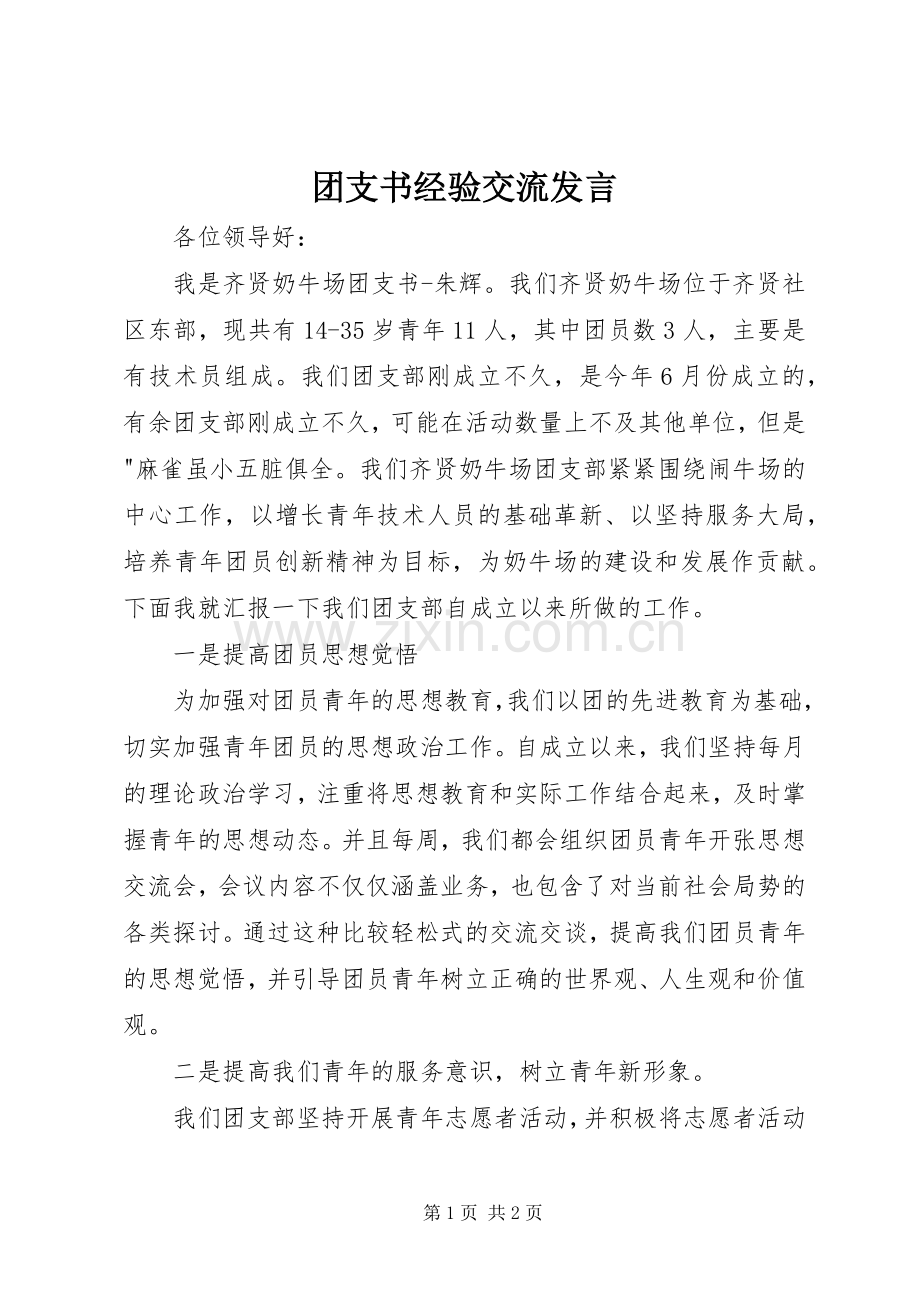 团支书经验交流发言.docx_第1页