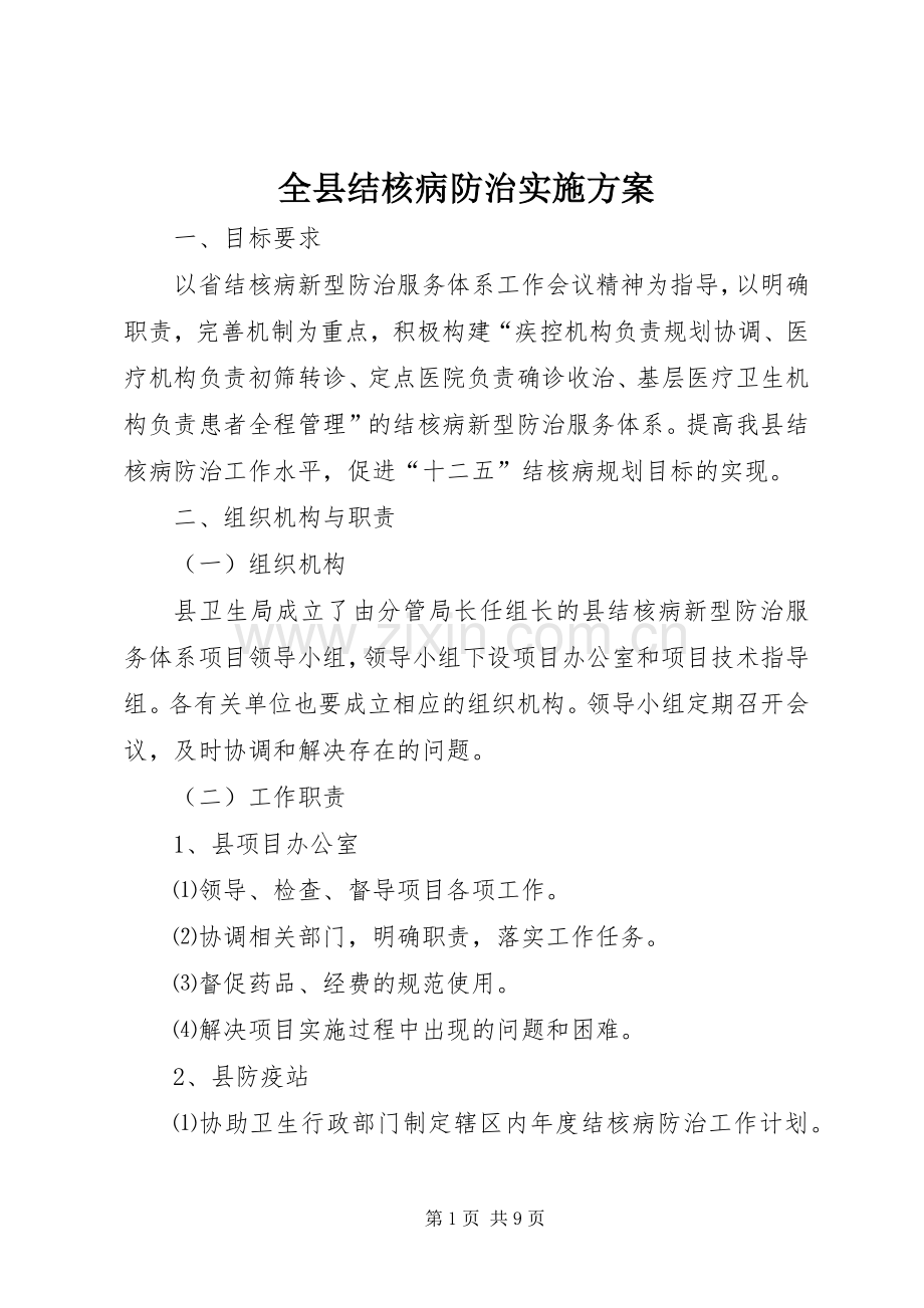 全县结核病防治方案.docx_第1页