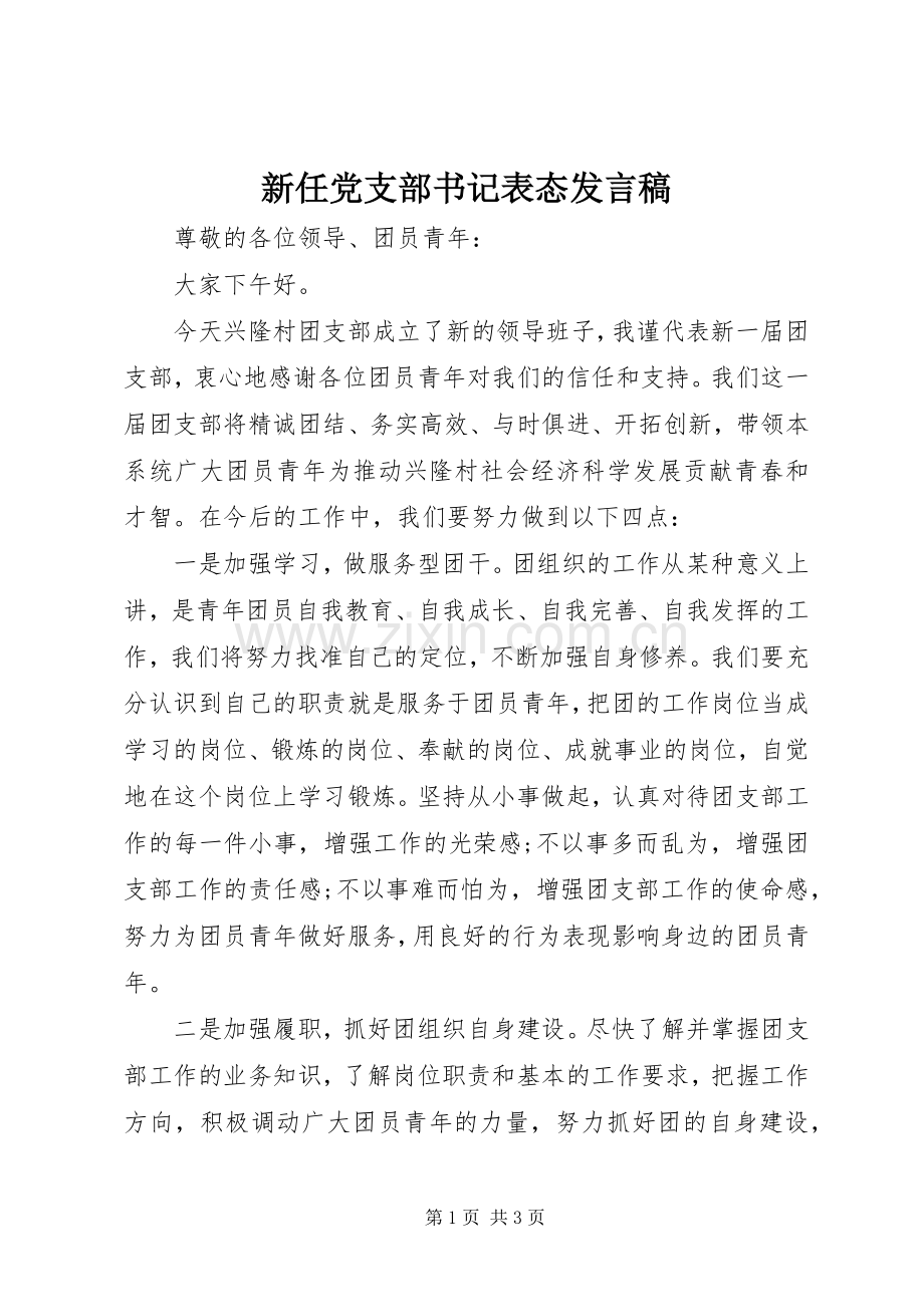 新任党支部书记表态发言稿.docx_第1页