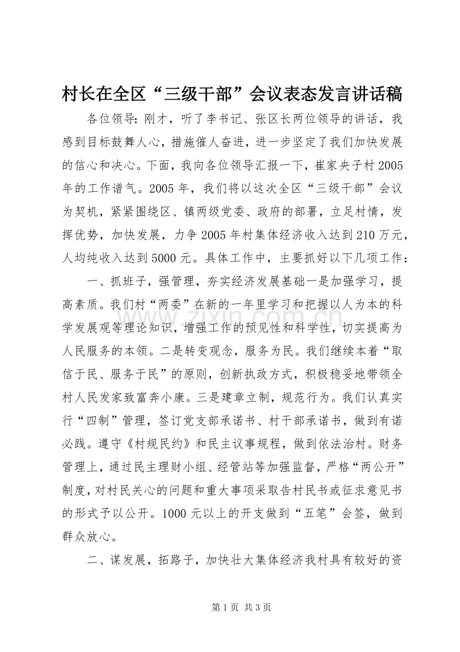 村长在全区“三级干部”会议表态发言讲话稿.docx_第1页