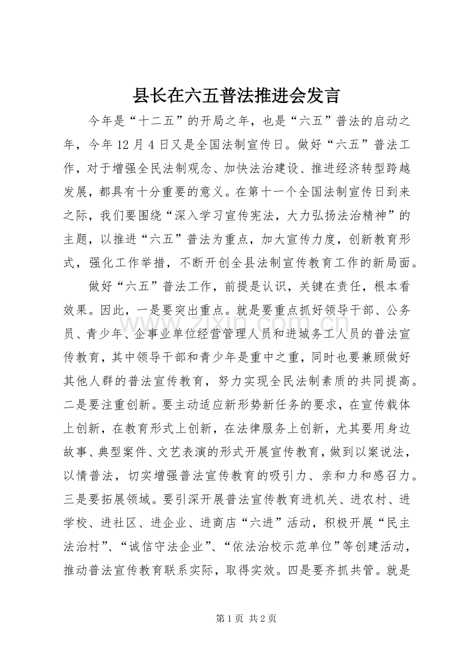 县长在六五普法推进会发言.docx_第1页