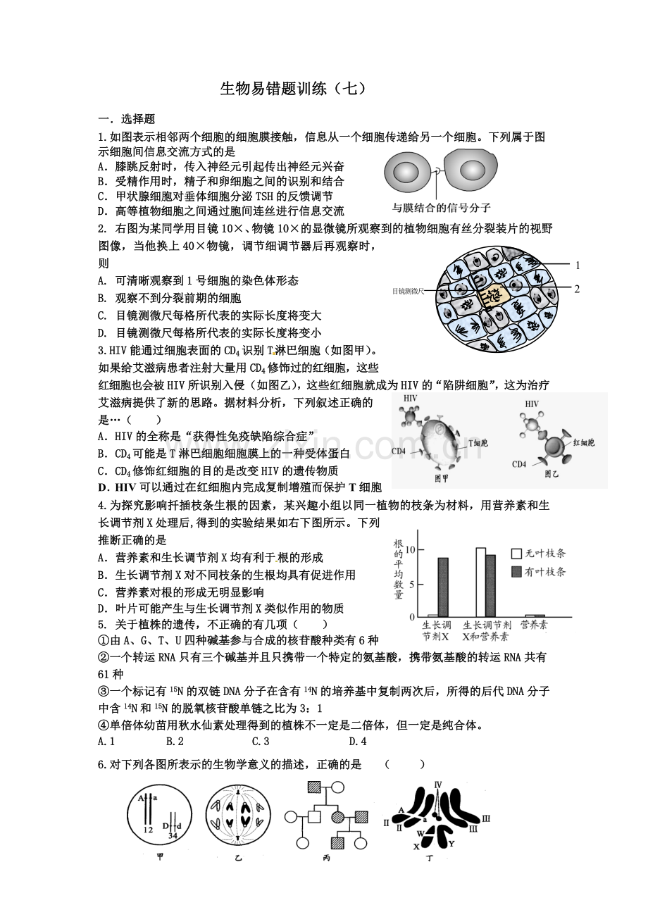 生物易错题训练(七).doc_第1页