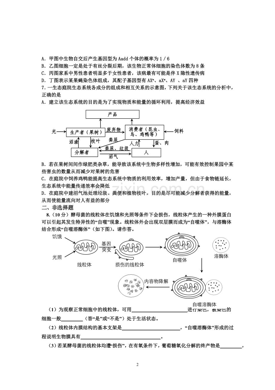 生物易错题训练(七).doc_第2页