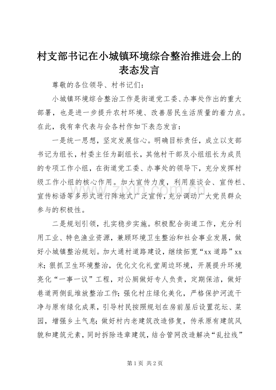 村支部书记在小城镇环境综合整治推进会上的表态发言.docx_第1页