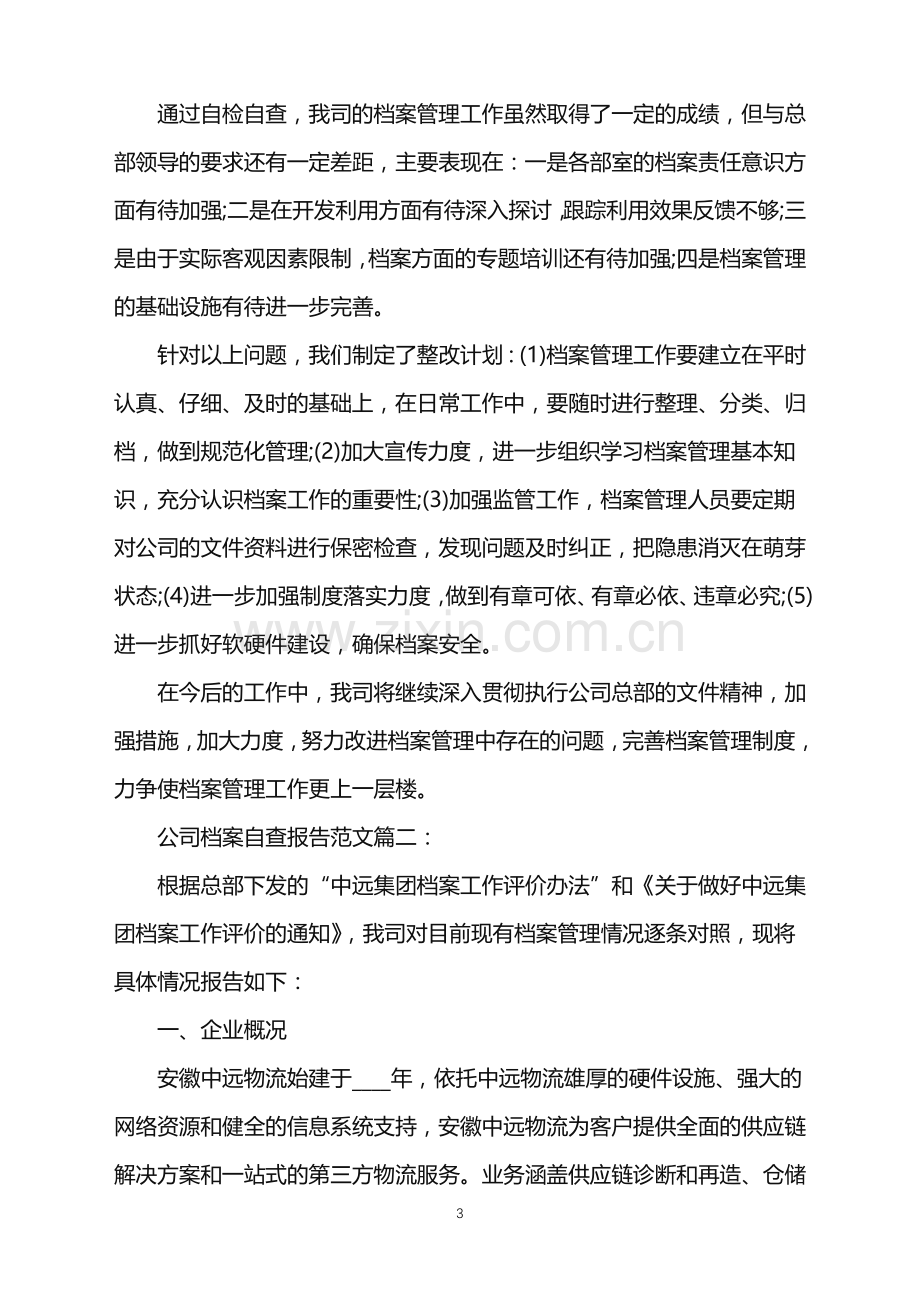 公司档案自查报告范文.doc_第3页