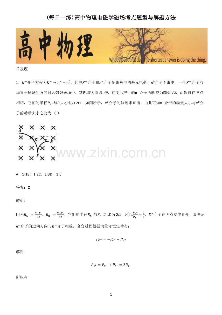 高中物理电磁学磁场考点题型与解题方法.pdf_第1页