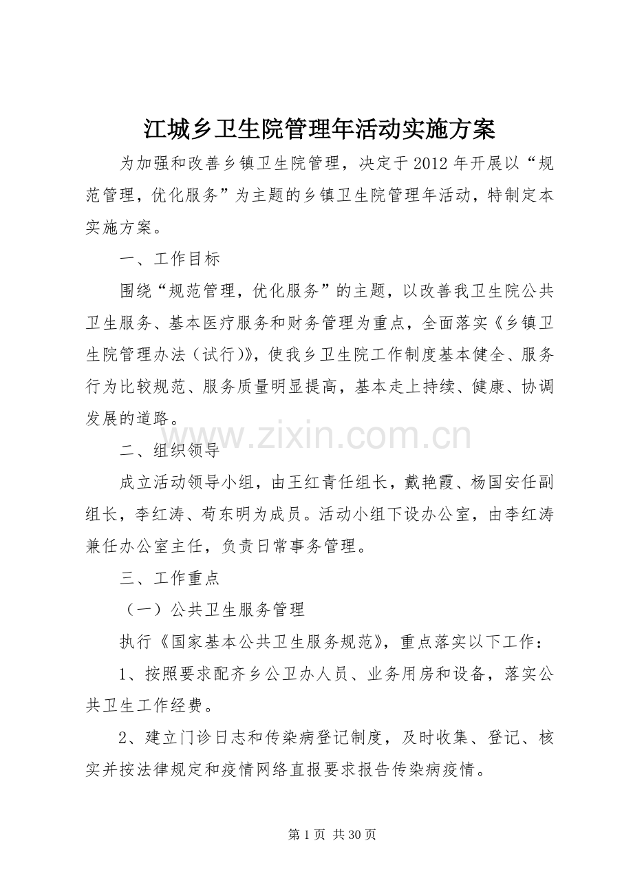 江城乡卫生院管理年活动方案.docx_第1页