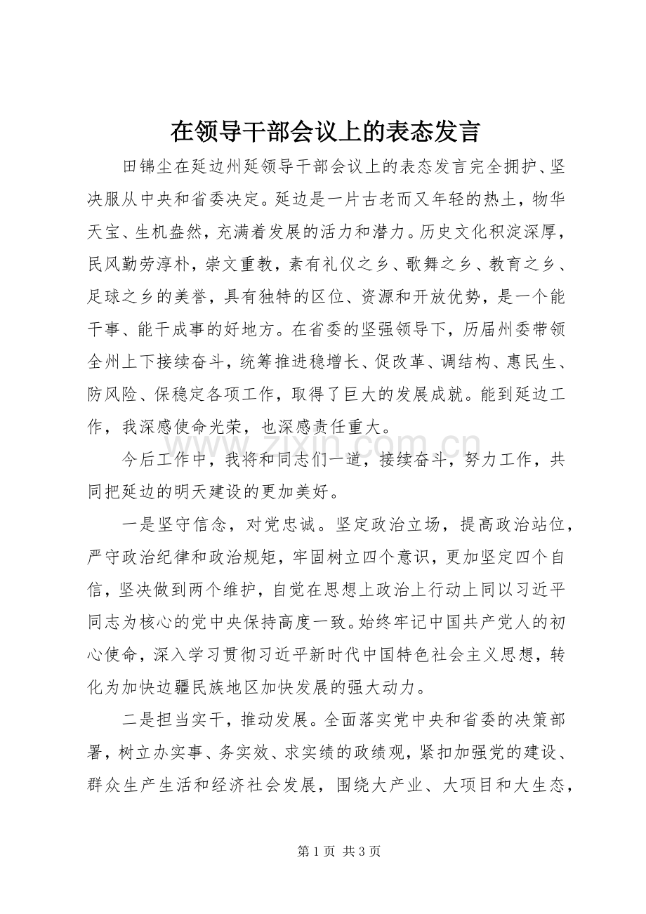 在领导干部会议上的表态发言.docx_第1页