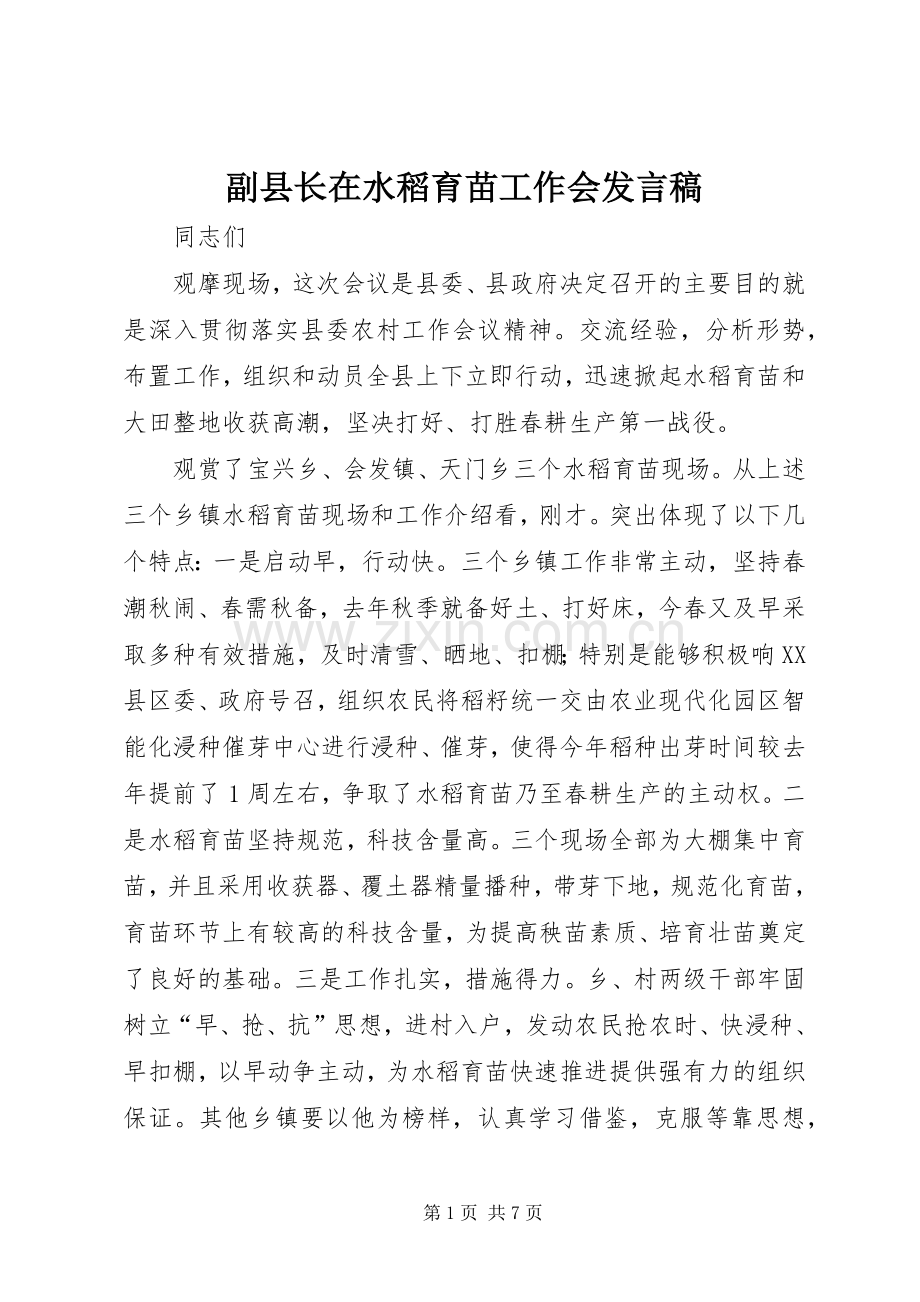 副县长在水稻育苗工作会发言稿.docx_第1页