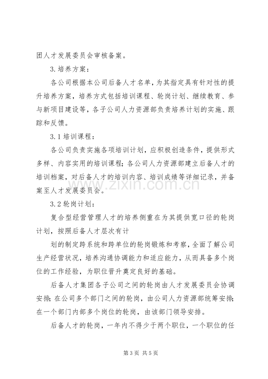 后备人才梯队建设实施方案 .docx_第3页