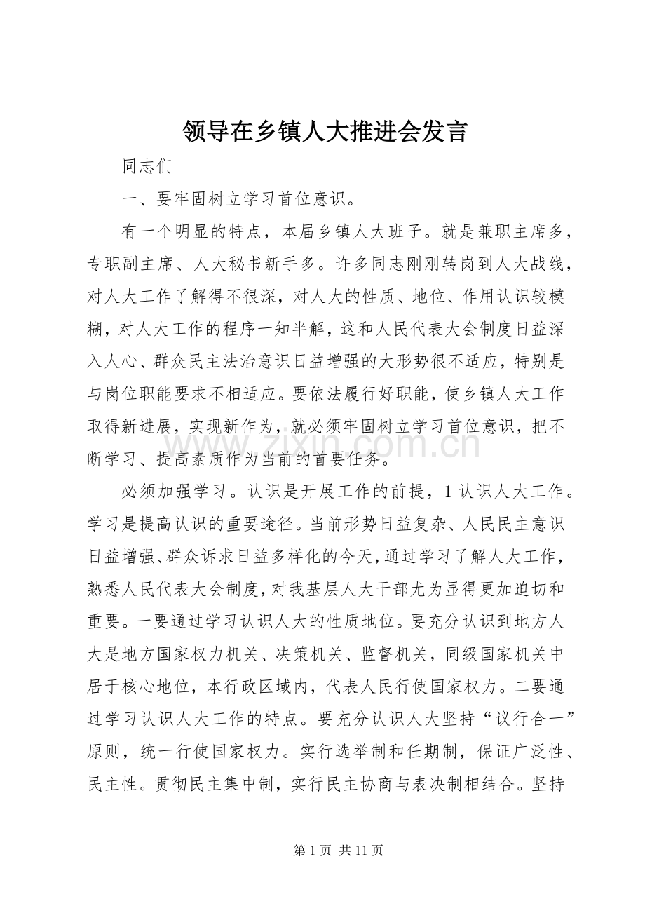 领导在乡镇人大推进会发言.docx_第1页