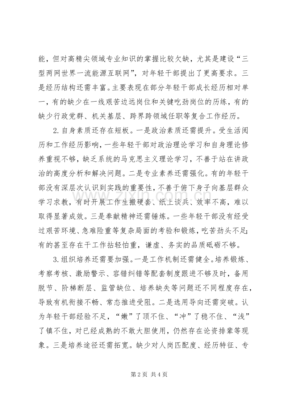 在加强年轻干部队伍建设座谈会上的发言稿.docx_第2页