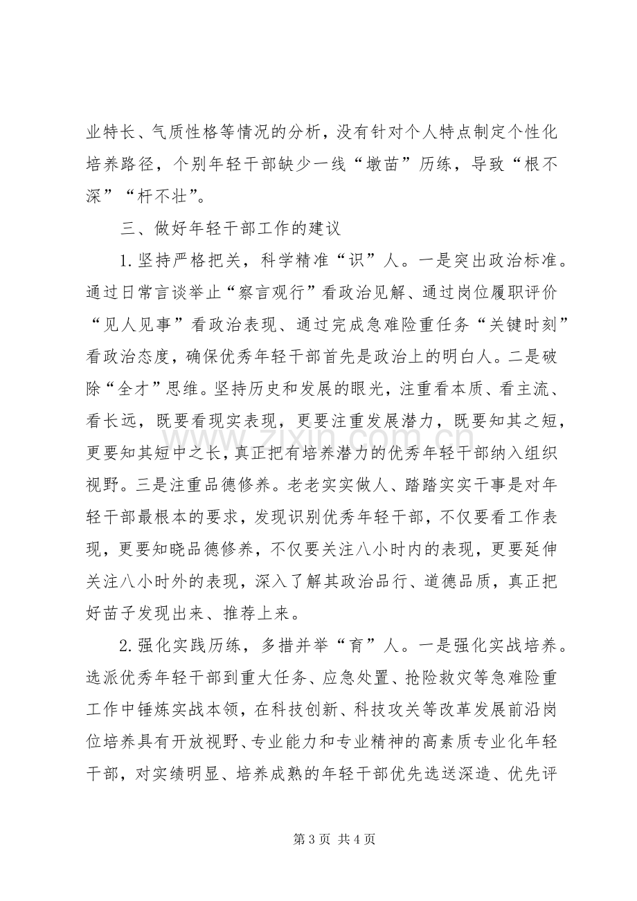 在加强年轻干部队伍建设座谈会上的发言稿.docx_第3页