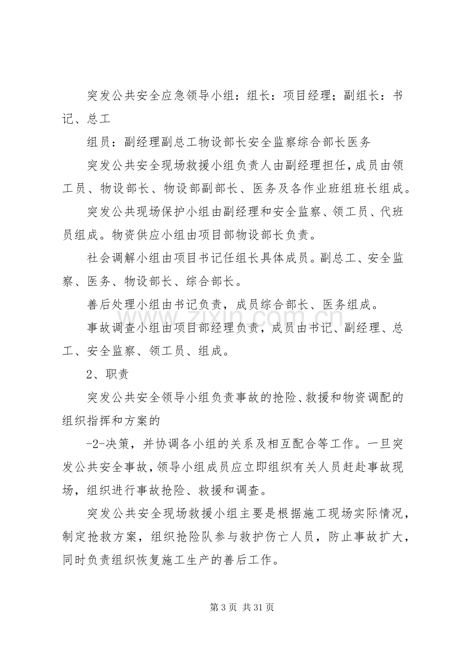 突发公共安全应急预案.docx_第3页