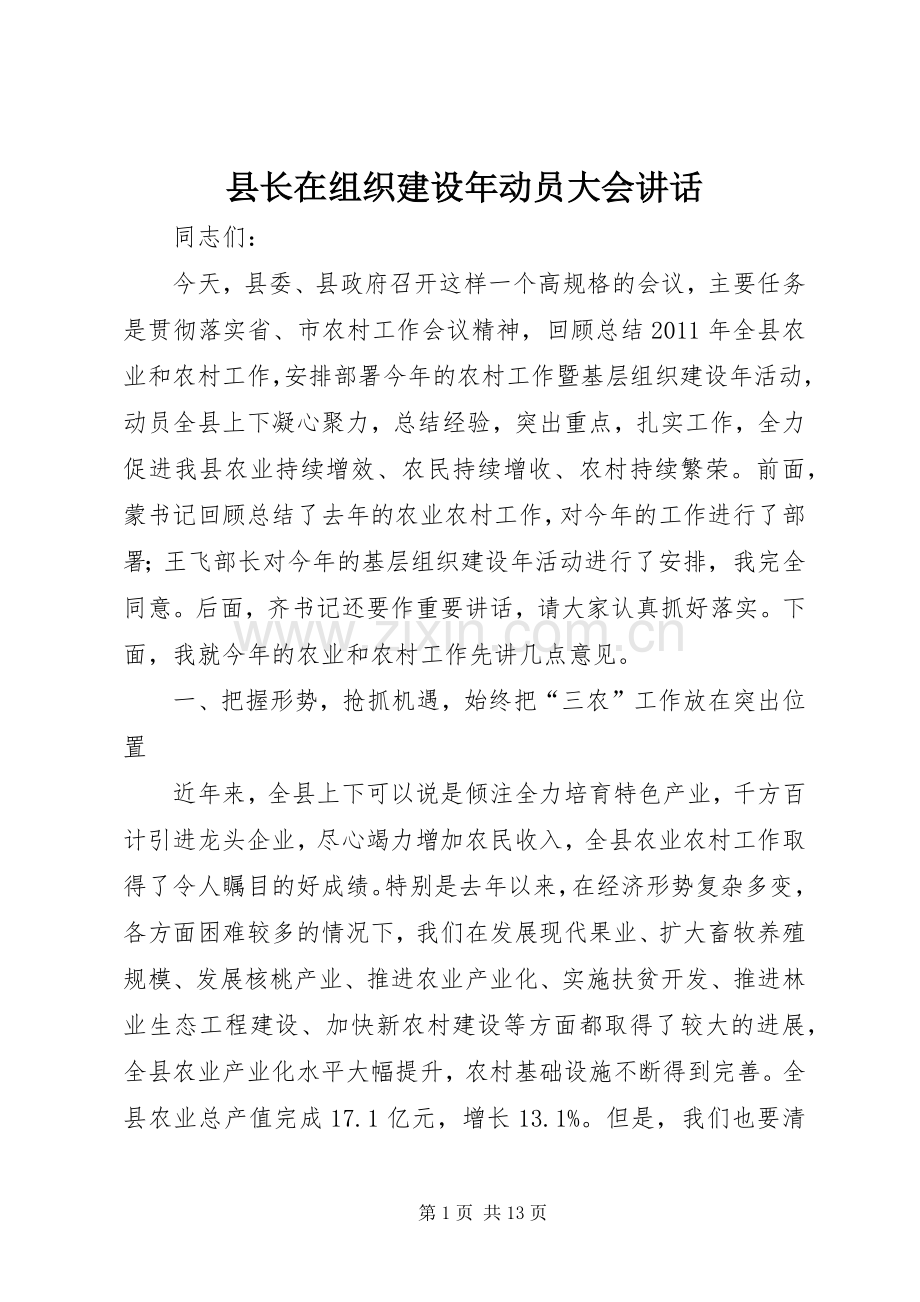 县长在组织建设年动员大会讲话.docx_第1页