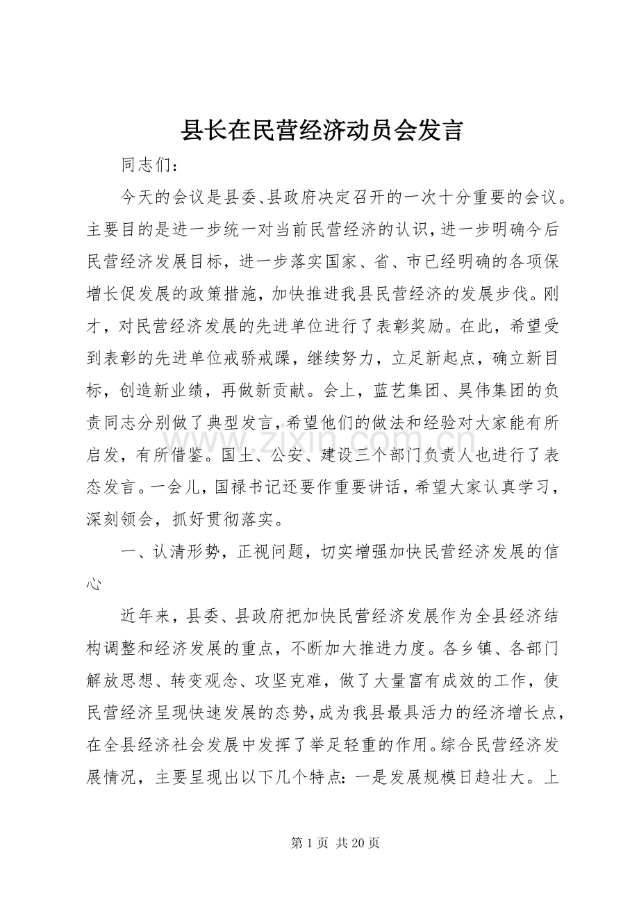 县长在民营经济动员会发言.docx_第1页