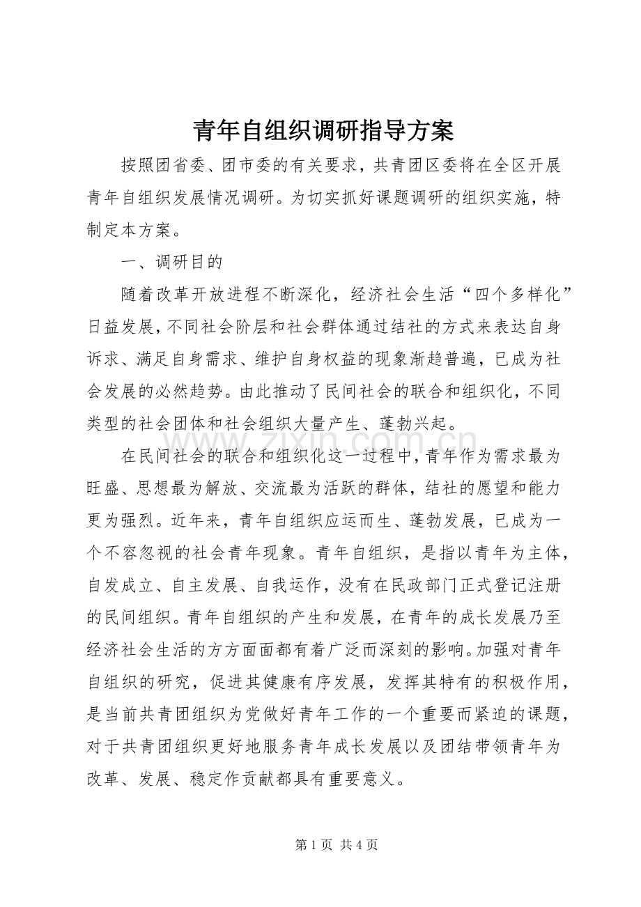 青年自组织调研指导实施方案.docx_第1页