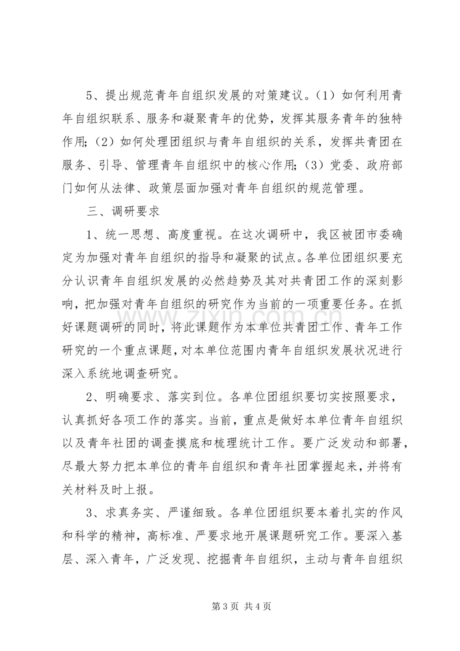 青年自组织调研指导实施方案.docx_第3页