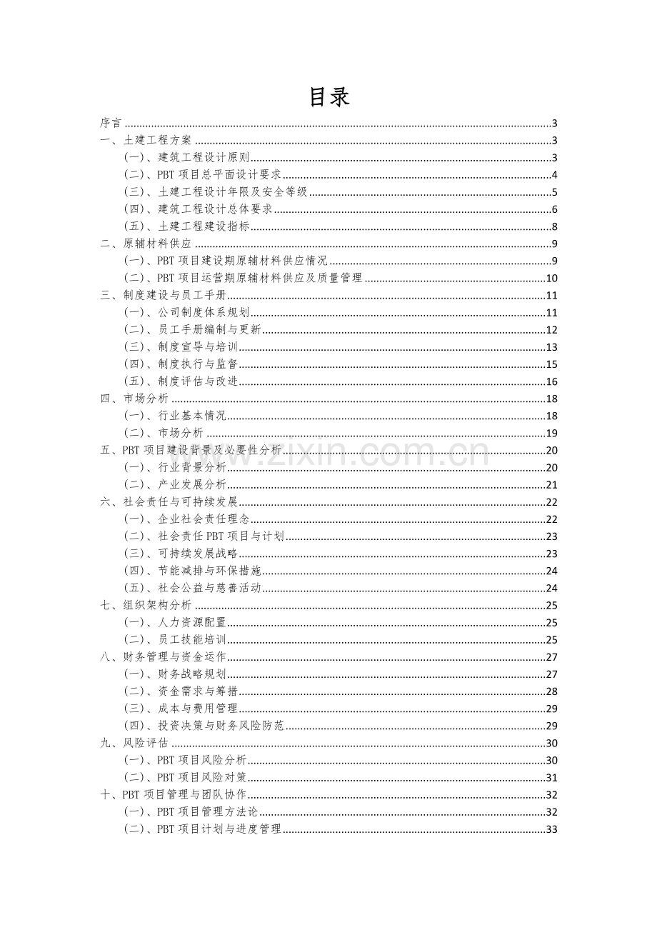 PBT项目可行性分析报告.docx_第2页