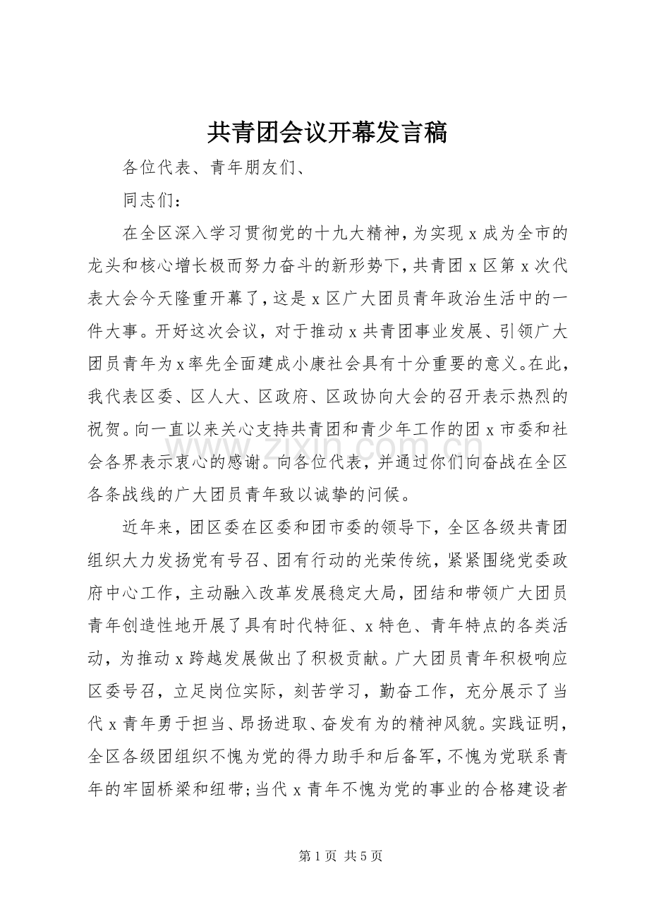 共青团会议开幕发言稿.docx_第1页