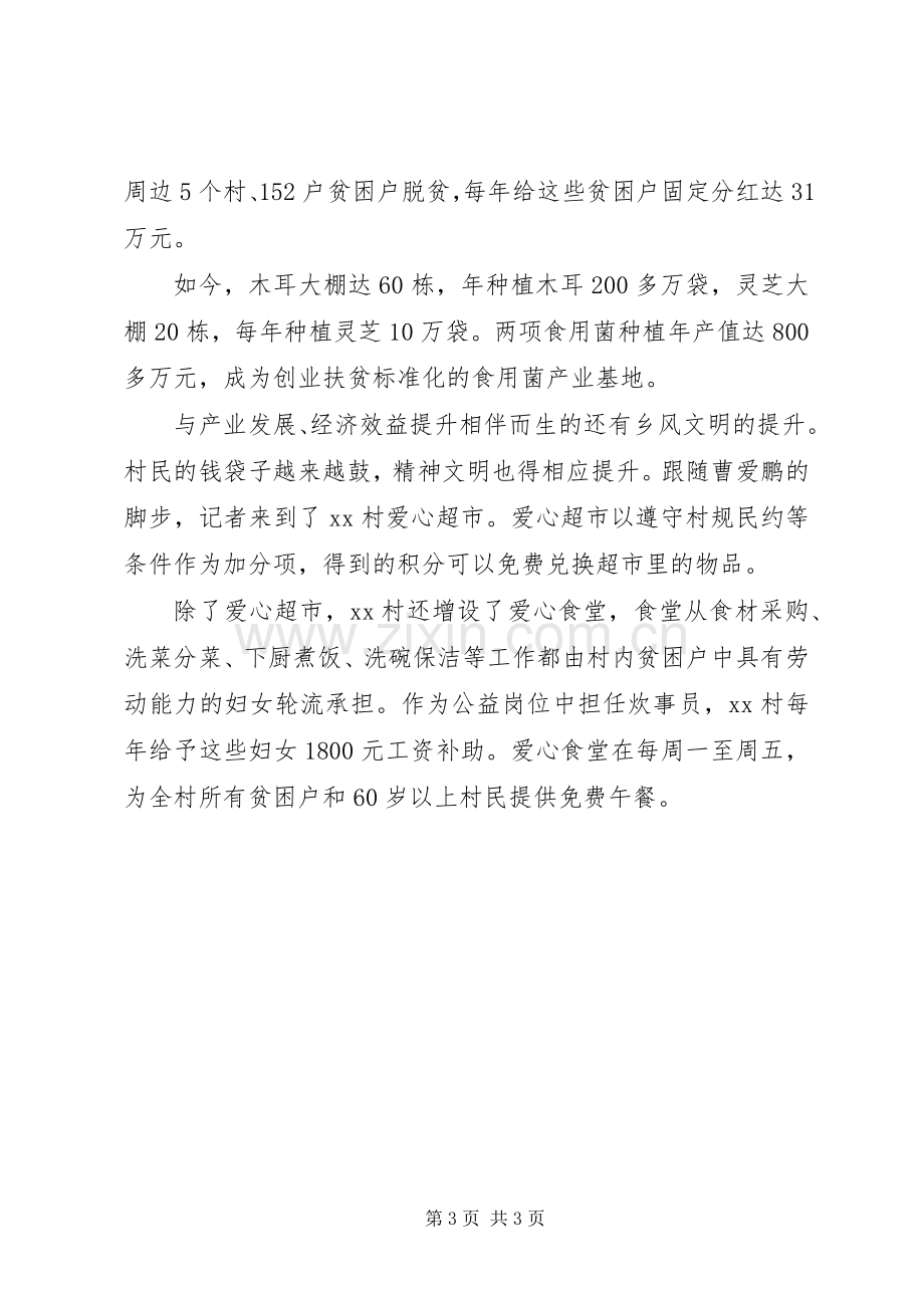 脱贫攻坚一村一实施方案事迹两篇.docx_第3页