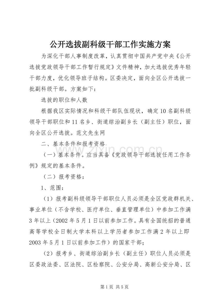 公开选拔副科级干部工作方案.docx_第1页