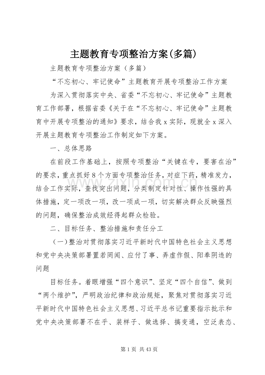 主题教育专项整治实施方案(多篇).docx_第1页