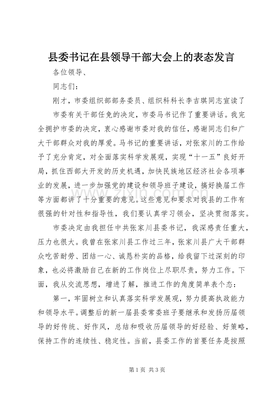 县委书记在县领导干部大会上的表态发言稿.docx_第1页