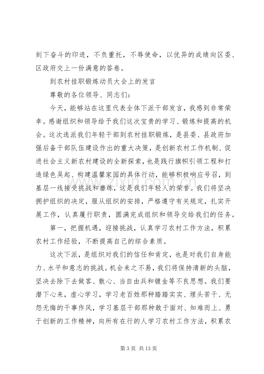 第一篇：挂职锻炼表态发言稿范文.docx_第3页