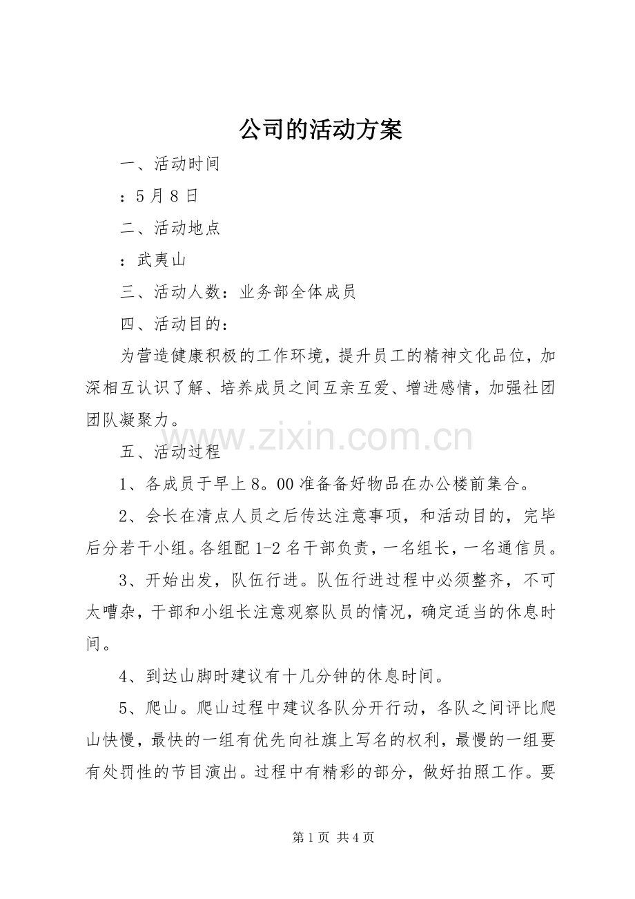 公司的活动实施方案.docx_第1页