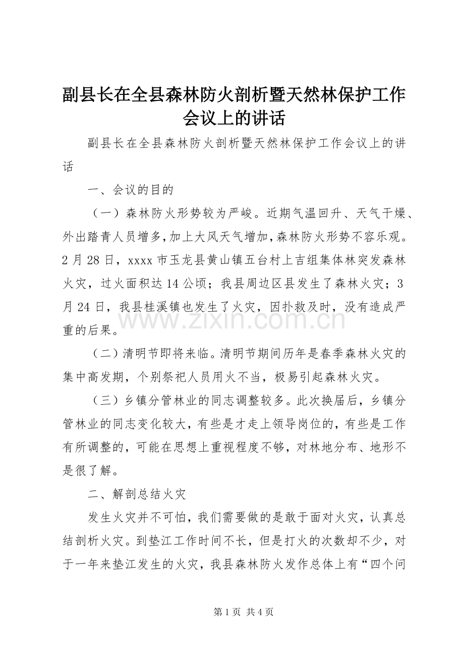 副县长在全县森林防火剖析暨天然林保护工作会议上的讲话.docx_第1页