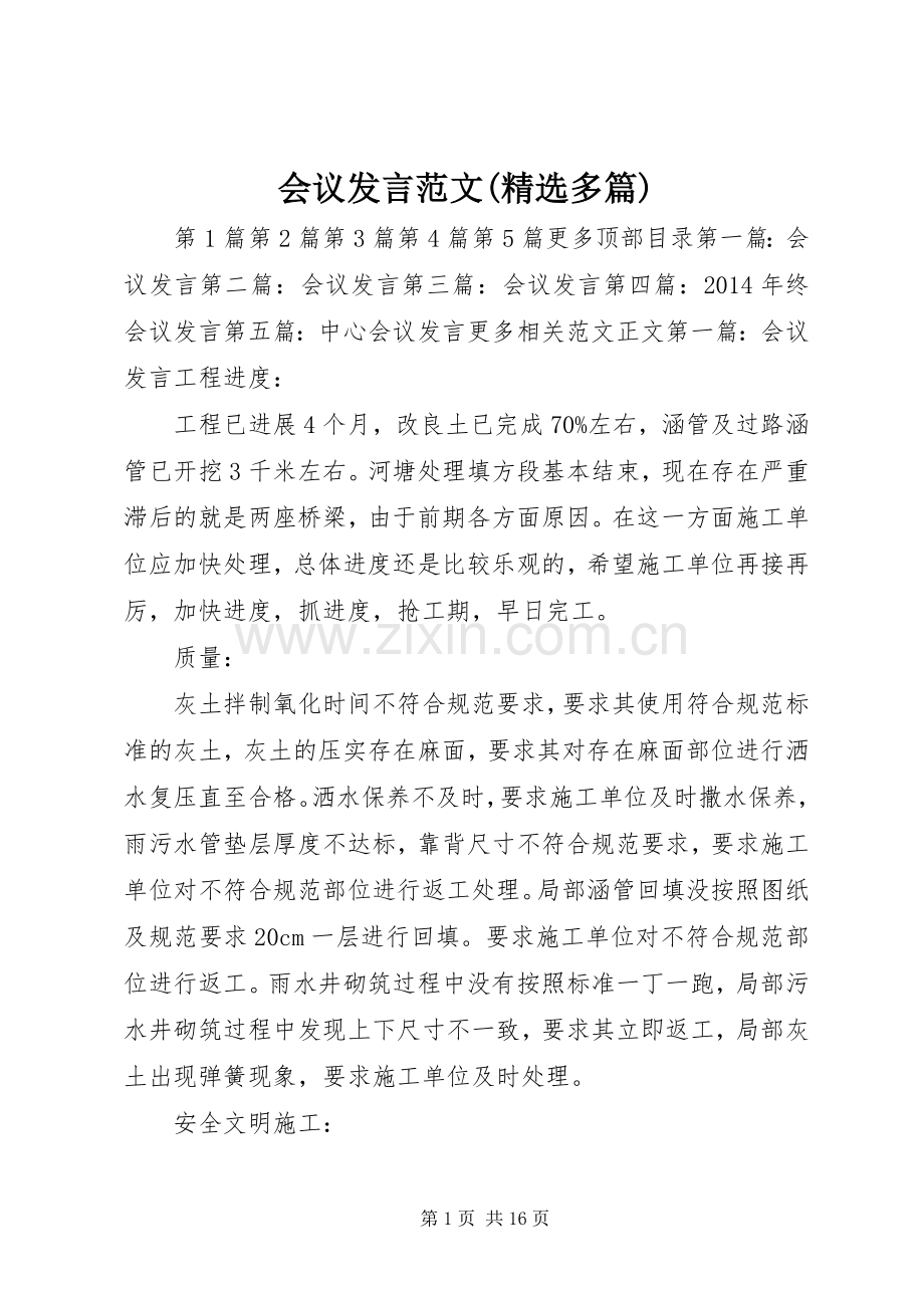 会议发言范文(多篇).docx_第1页