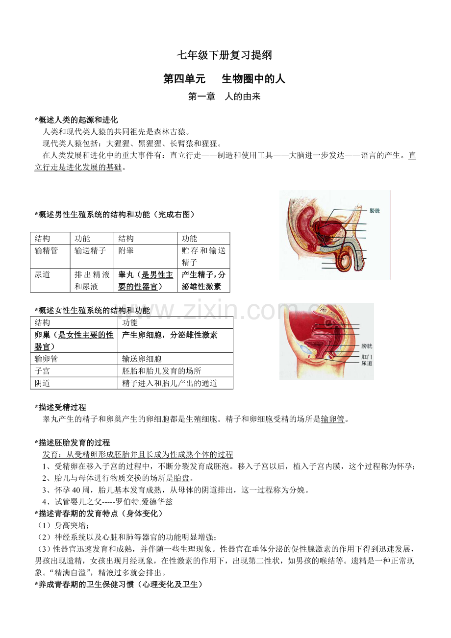 七下复习提纲（第四单元生物圈中的人）.doc_第1页