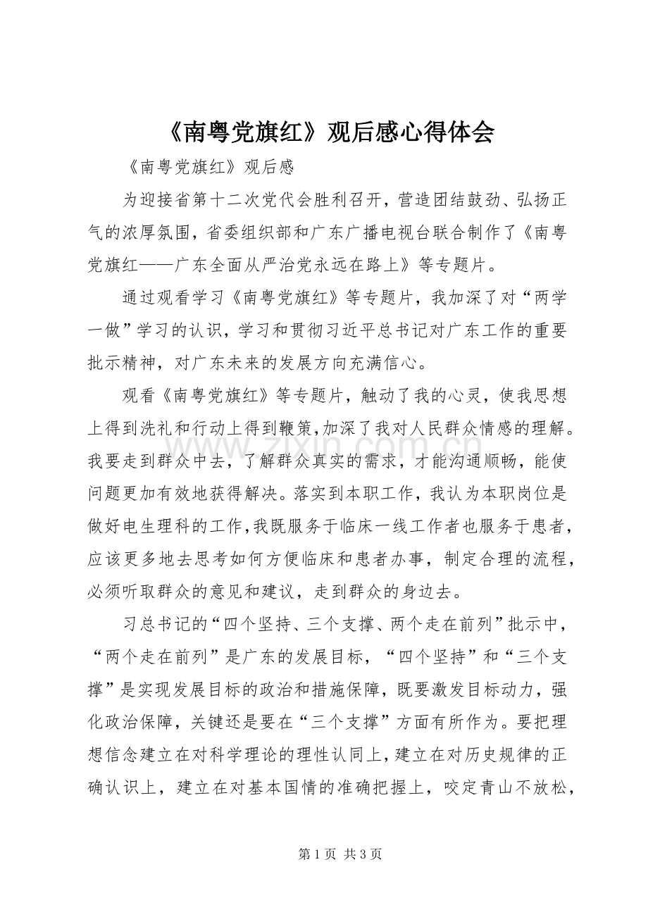 《南粤党旗红》观后感心得体会_2.docx_第1页