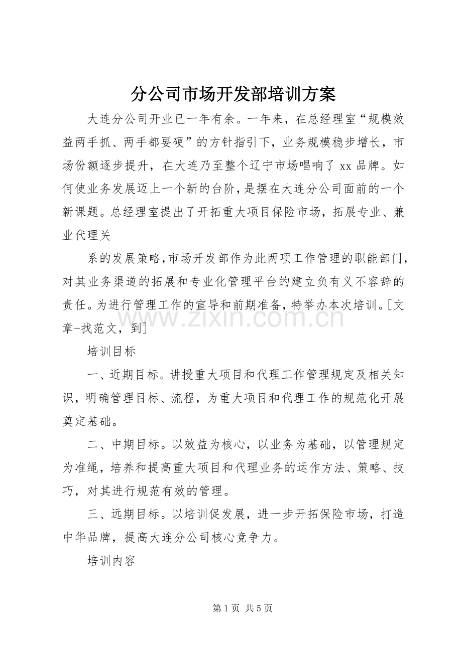 分公司市场开发部培训实施方案 .docx_第1页