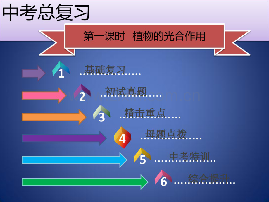 中考生物模块3生物圈中的绿色植物第1课时植物的光合作用复习课件.pdf_第2页