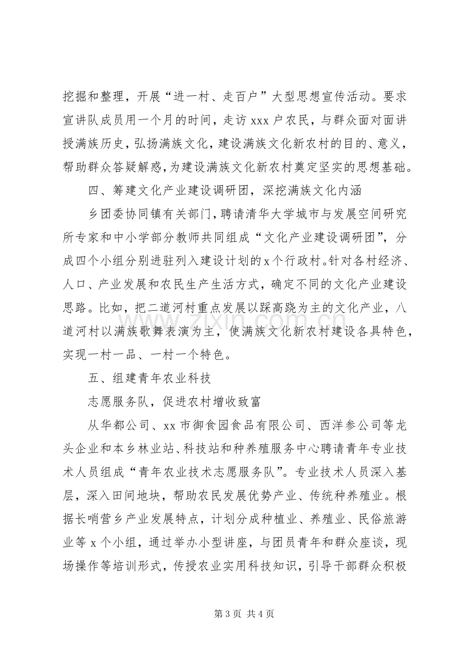 共青团特色活动助推新农村建设经验发言材料.docx_第3页