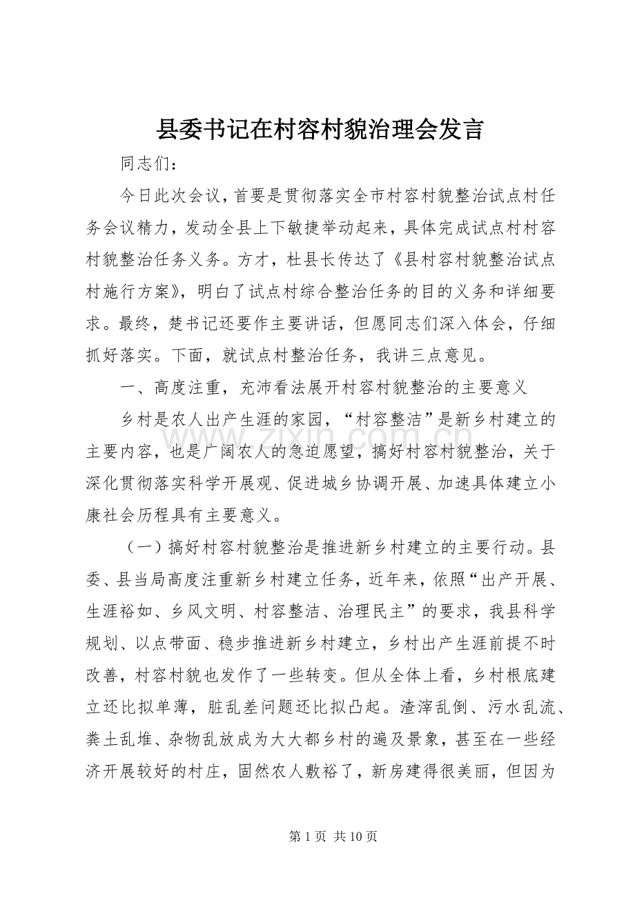 县委书记在村容村貌治理会发言.docx_第1页