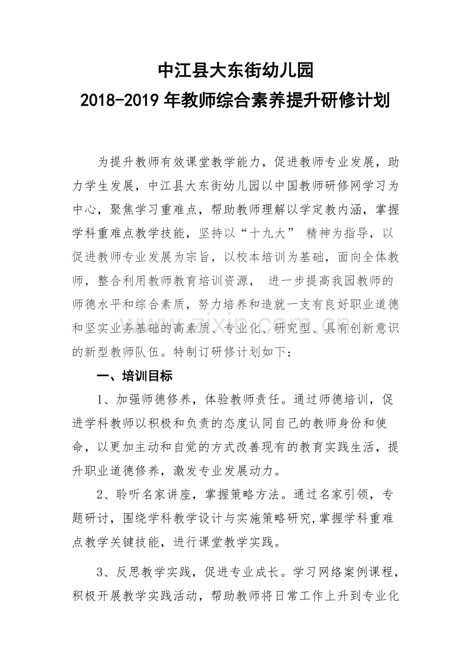 中江县大东街幼儿园2018—2019年综合素养研修计划.docx_第1页