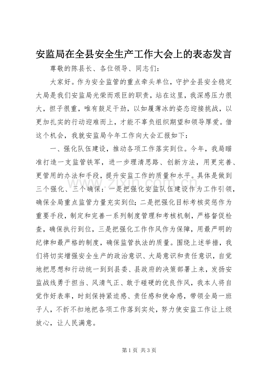 安监局在全县安全生产工作大会上的表态发言稿.docx_第1页