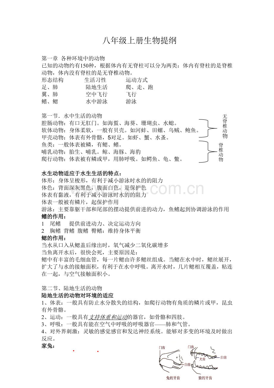 人教版八上生物期中复习.doc_第1页