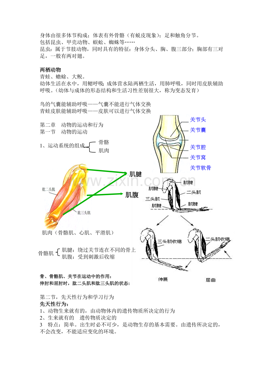 人教版八上生物期中复习.doc_第3页