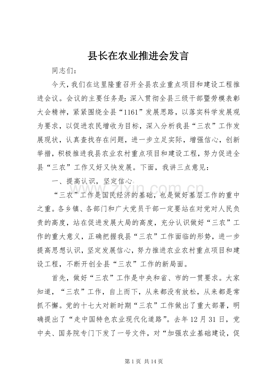 县长在农业推进会发言.docx_第1页