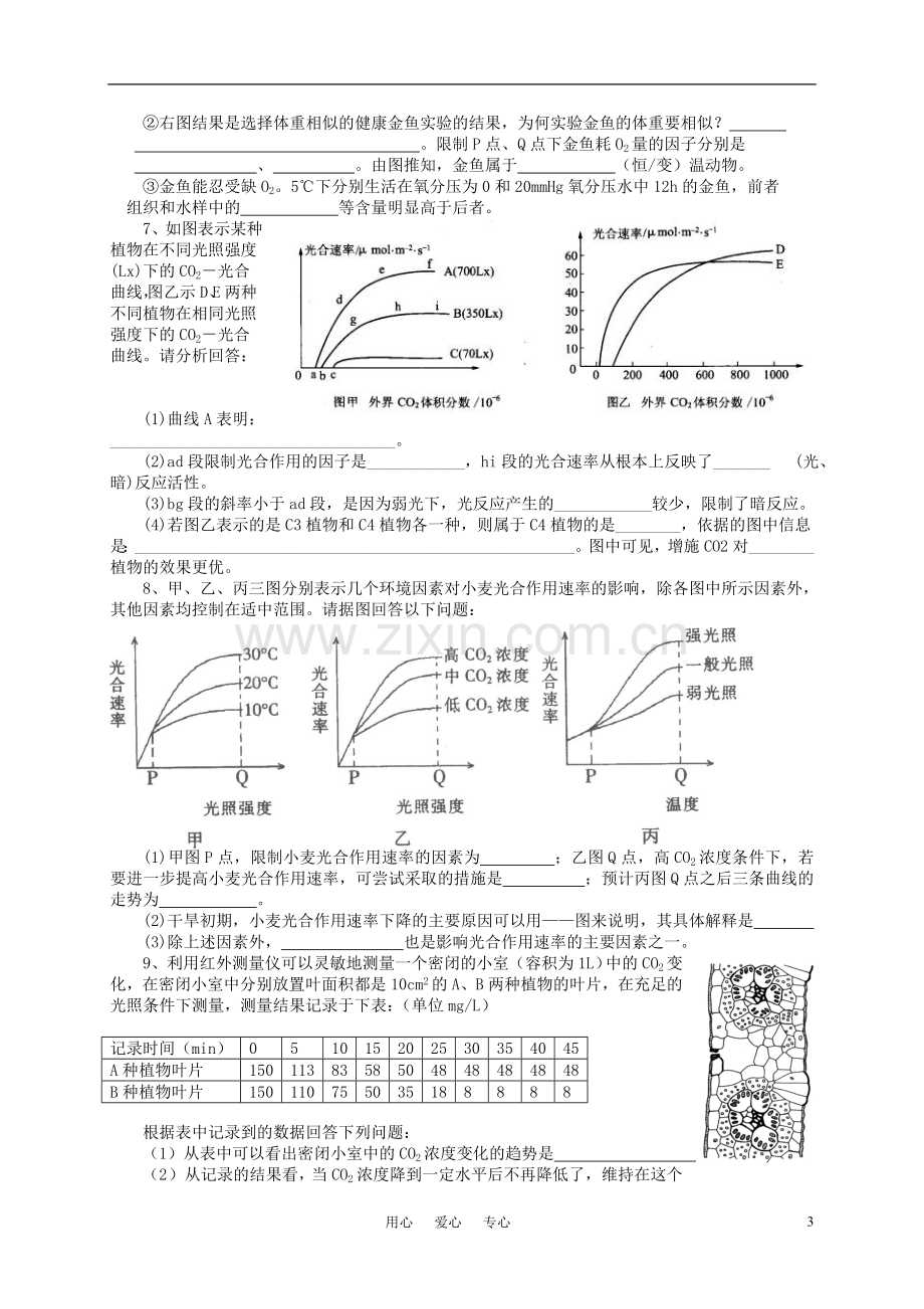 高中生物《能量之源——光与光合作用》同步练习3-新人教版必修1.doc_第3页