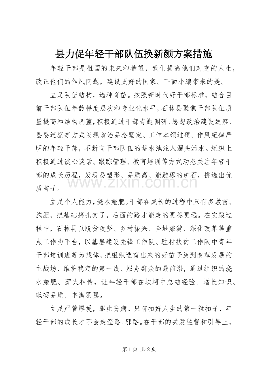 县力促年轻干部队伍换新颜实施方案措施.docx_第1页