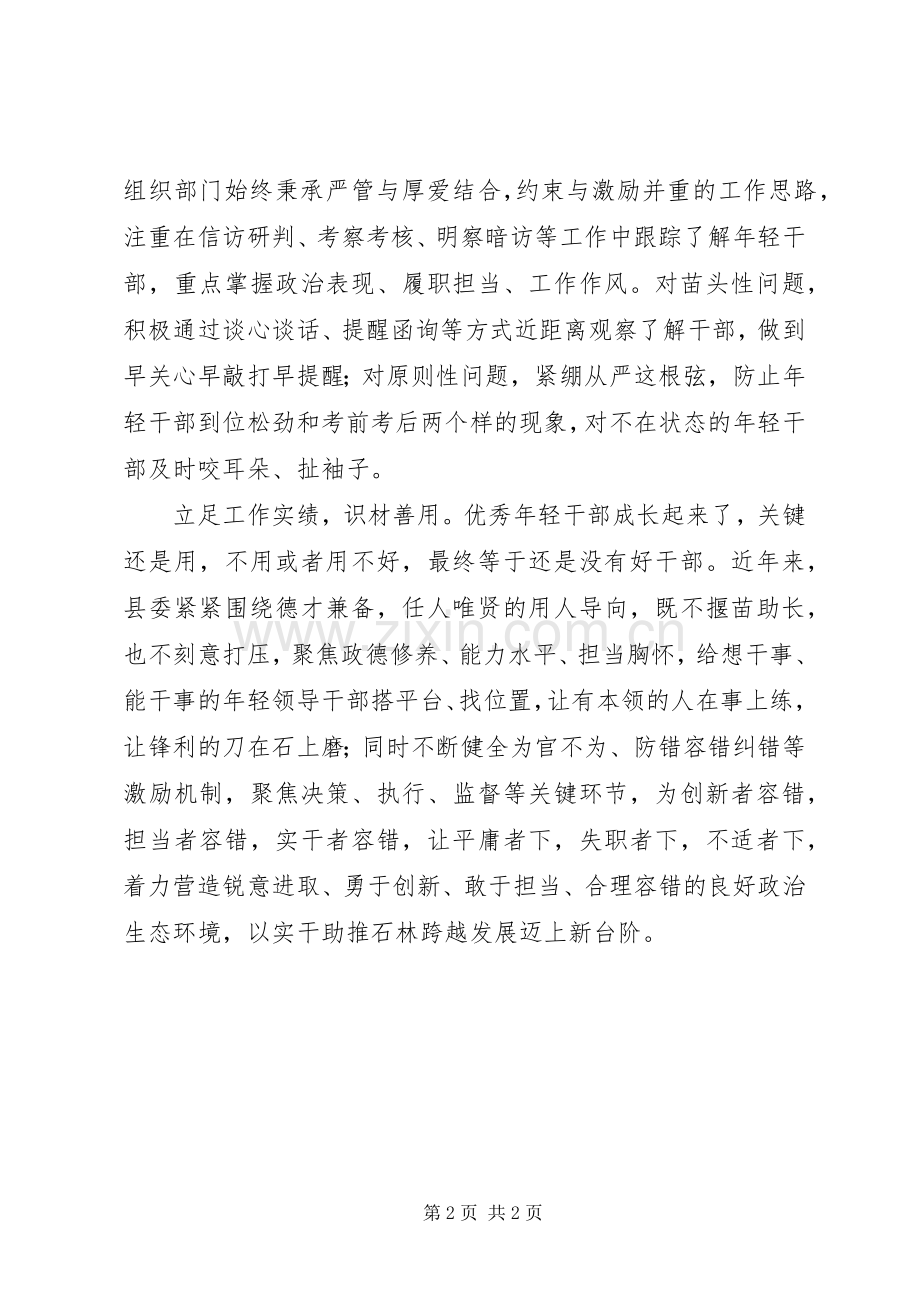 县力促年轻干部队伍换新颜实施方案措施.docx_第2页