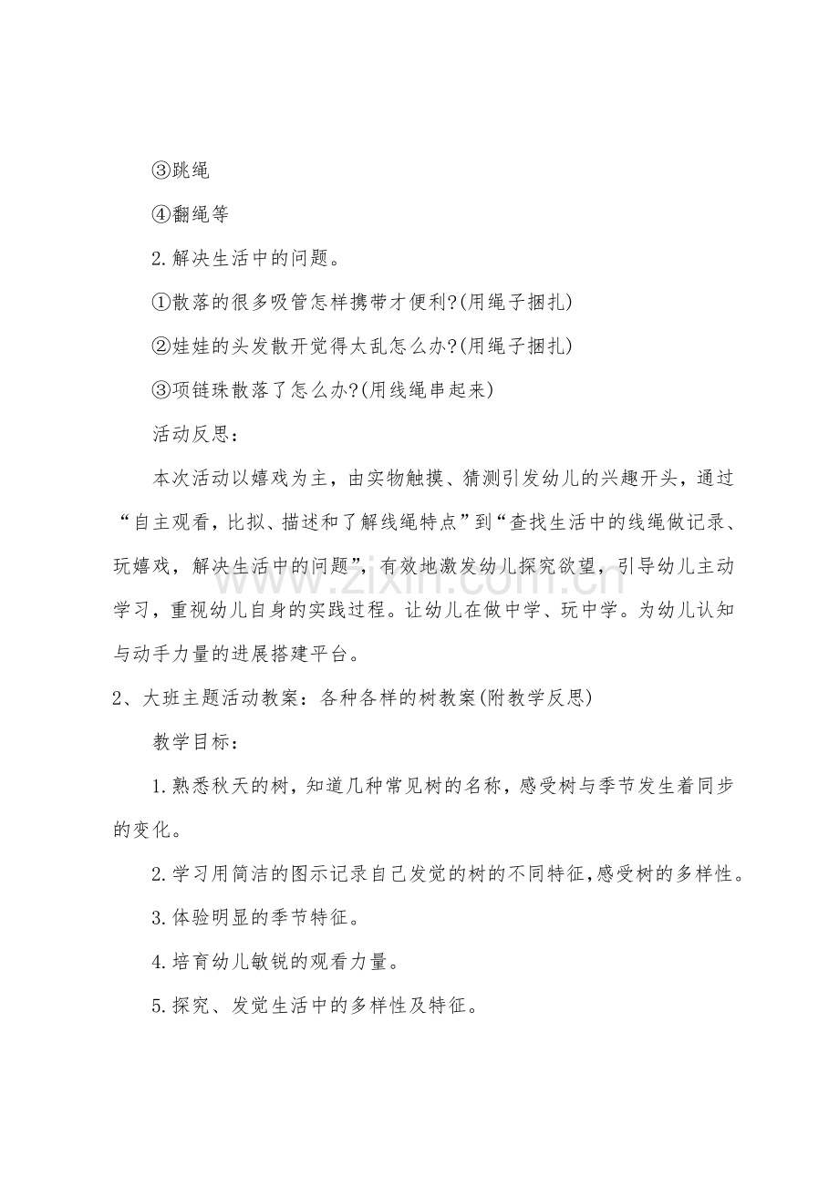 大班主题各种绳线教案反思.docx_第3页