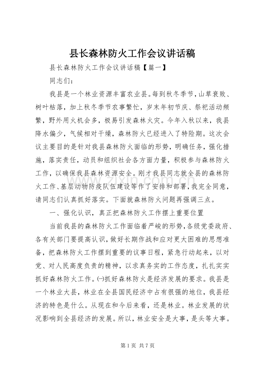 县长森林防火工作会议讲话稿.docx_第1页