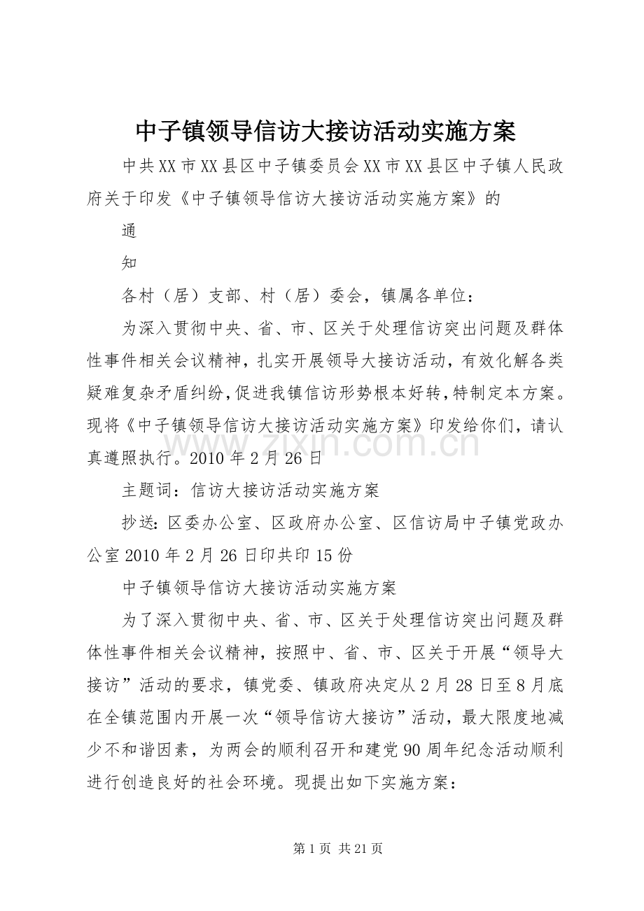 中子镇领导信访大接访活动方案.docx_第1页